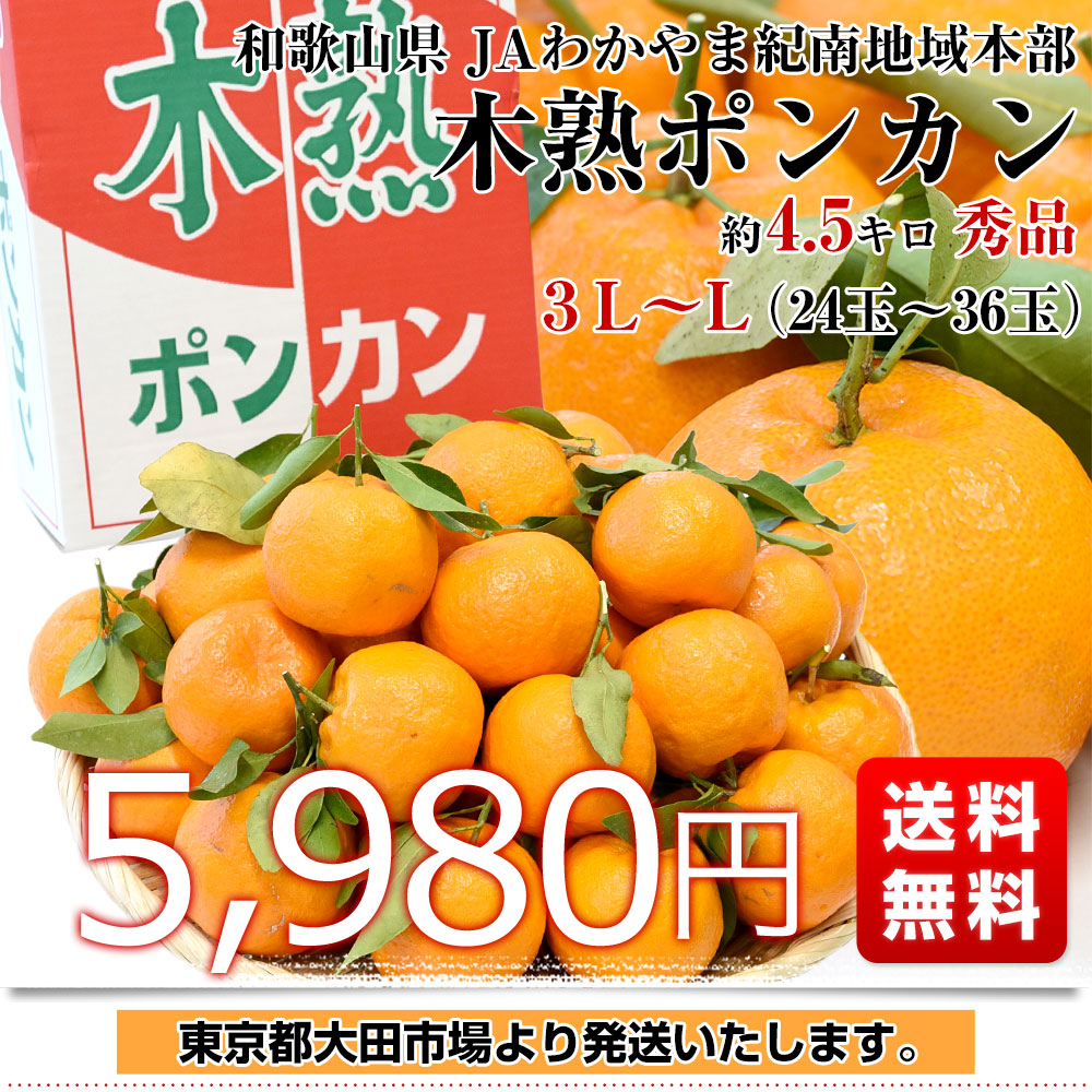 のぶ様専用 ポンカン4.5kg+デコ4.5kgぐるりん 【公式通販】