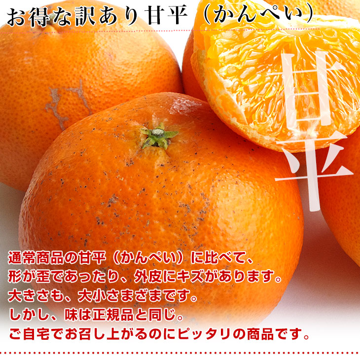 愛媛県産 JAにしうわ 訳あり甘平（かんぺい）5キロ 5Lから2L（12玉から26玉）市場スポット みかんミカン 送料無料 |  | 03