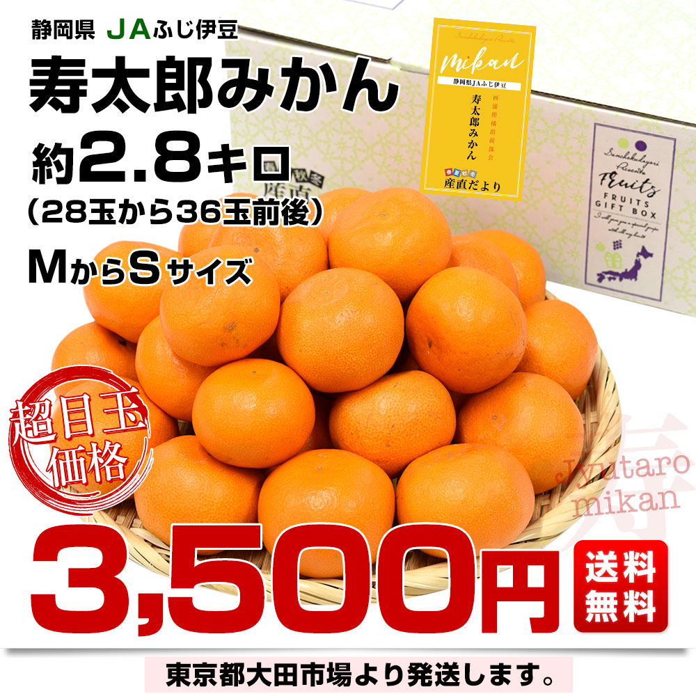 静岡県産 JAふじ伊豆 西浦柑橘出荷部会 寿太郎みかん MからSサイズ 約 