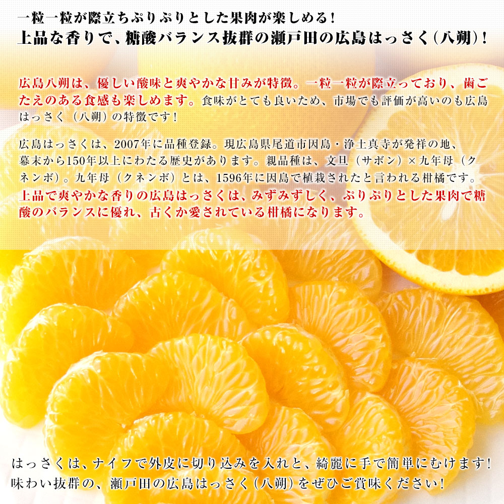 広島県産 JA三原せとだ 「瀬戸田の広島はっさく（八朔）」 優品以上 約