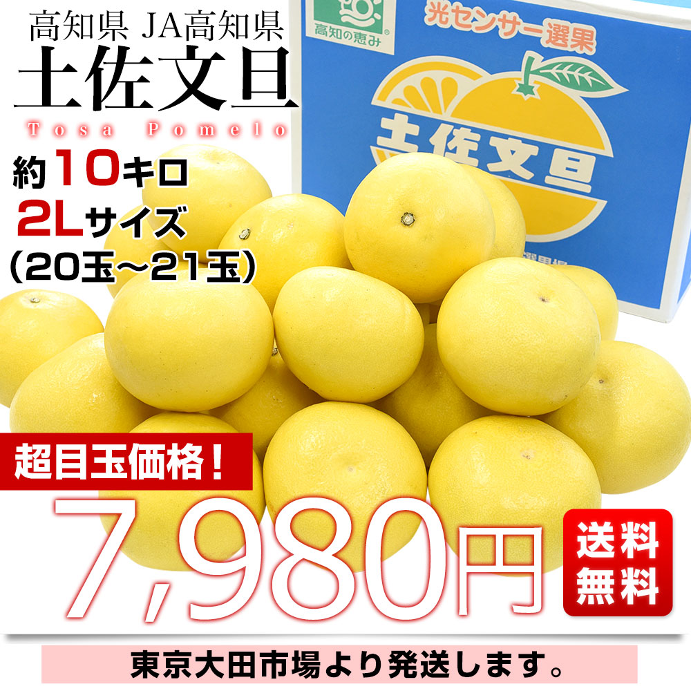 高知県産 JA高知県 土佐文旦 約10キロ 2Lサイズ（20玉から21玉）送料