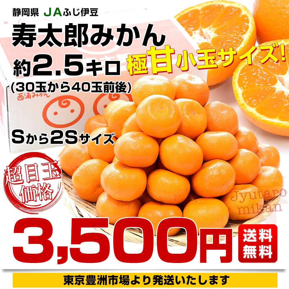 静岡県産 JAふじ伊豆 西浦柑橘出荷部会 寿太郎みかん 約2.5キロ 小玉 S 