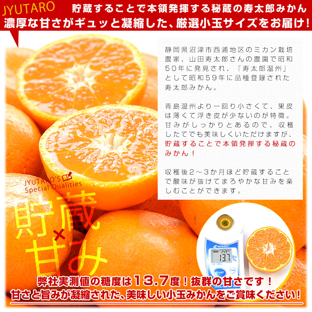 公式通販 静岡県産 JAなんすん 西浦柑橘出荷部会 約2.5キロ 寿太郎みかん Sから２Sサイズ（30玉から40玉前後） 小玉 みかん ミカン  市場発送 みかん、柑橘類