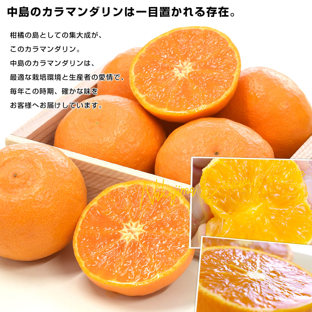 愛媛県産 JAえひめ中央 中島のカラマンダリン...の詳細画像5