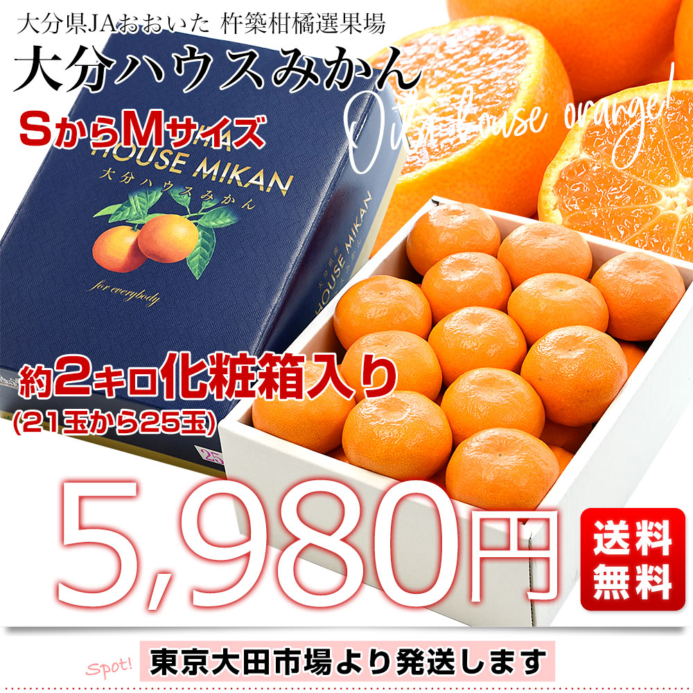 大分県 JAおおいた 杵築柑橘選果場 大分ハウスみかん 約2キロ SからM