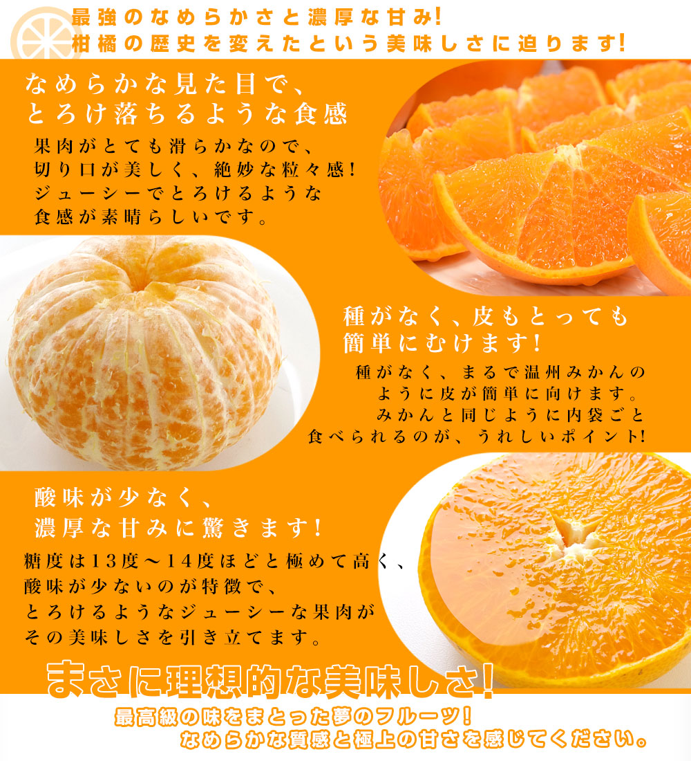 愛媛県産 JAえひめ中央 せとか 青秀以上 3Lから2Lサイズ 約5キロ 愛媛県産 JAえひめ中央 せとか 青秀以上 3Lから2Lサイズ 約5キロ