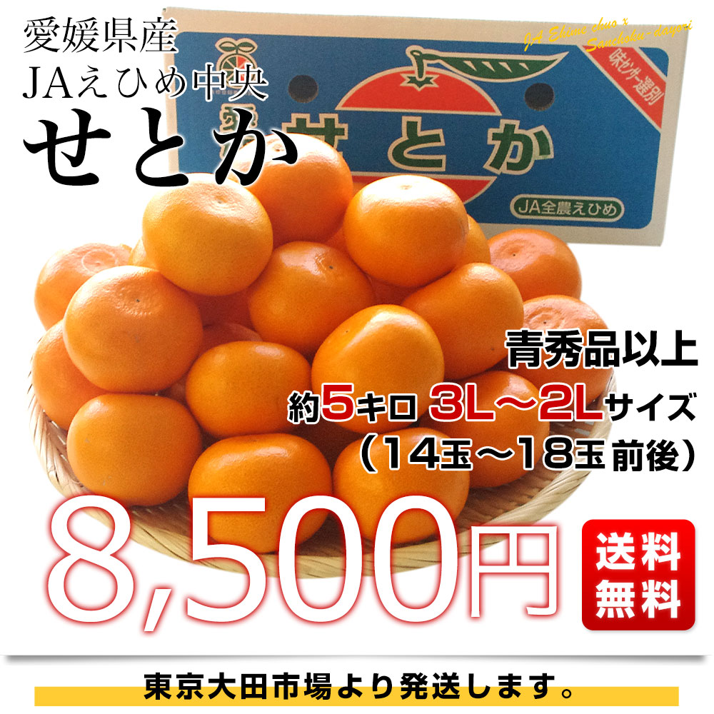 愛媛県産 せとか みかん C品10Kg 農家直送 ご家庭用 大三島産