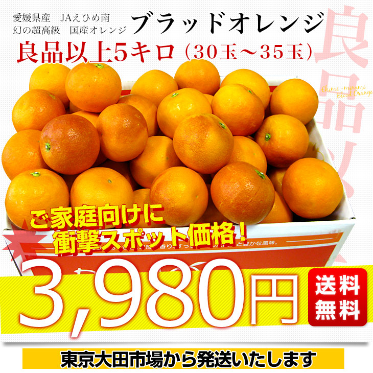 【緊急スポット価格！】愛媛県産JAえひめ南 ブラッドオレンジ(モロ種) 良品以上 5キロ (30玉から35玉前後) 柑橘 国産オレンジ 国産ブラッド  送料無料