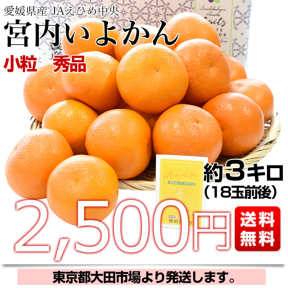 愛媛県産 JAえひめ中央 宮内いよかん 秀品 ...の詳細画像2
