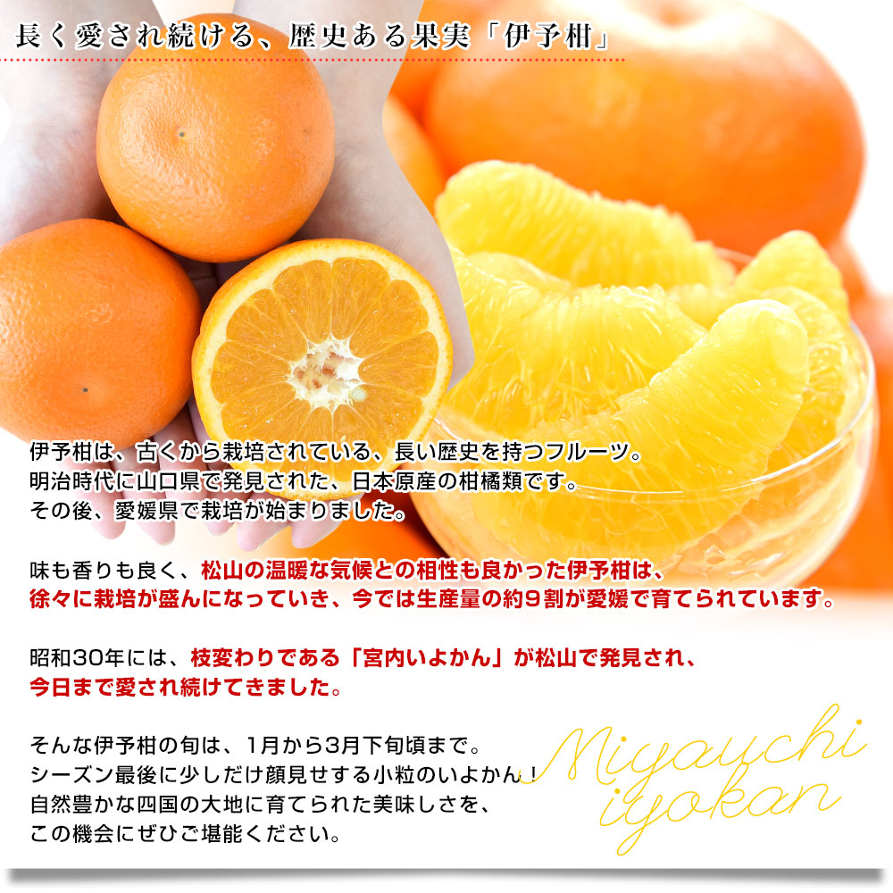 愛媛県産 JAえひめ中央 宮内いよかん 秀品 ...の詳細画像4