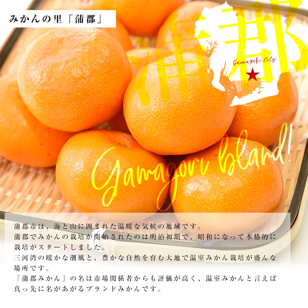 愛知県産 蒲郡温室みかん MからSサイズ 約2.4キロ(1.2キロ×2) 送料無料