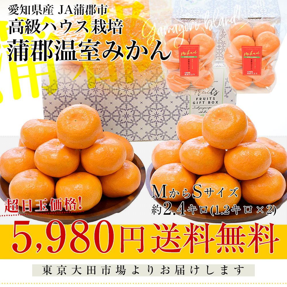 愛知県産 蒲郡温室みかん MからSサイズ 約2.4キロ(1.2キロ×2) 送料無料