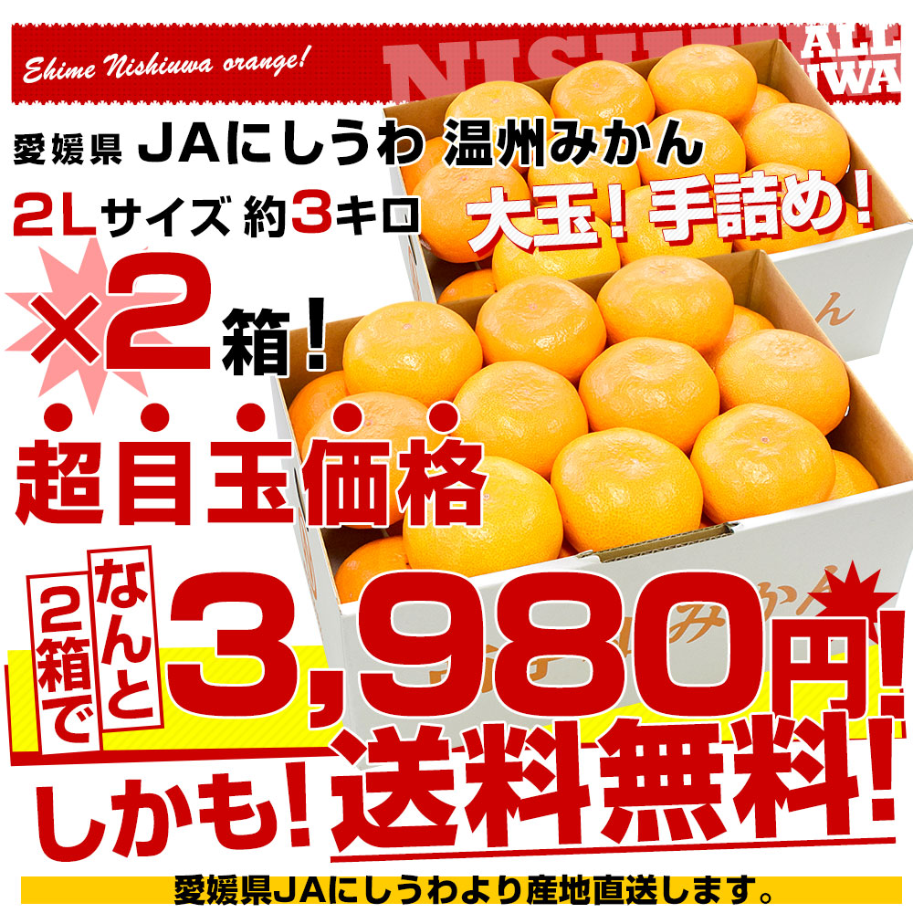 愛媛県より産地直送 JAにしうわ 西宇和温州みかん 2Lサイズ 約3キロ×2