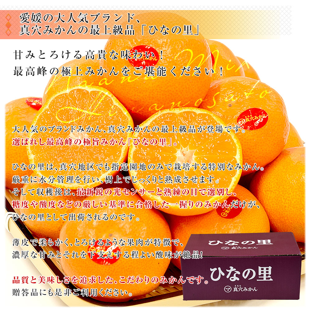 愛媛県 JAにしうわ 真穴共選 最上級みかん「ひなの里」2LからSサイズ 3