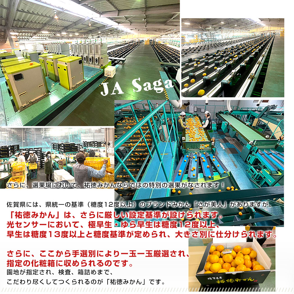 お歳暮 ギフト】佐賀県より産地直送 JAさが 祐徳(ゆうとく)みかん L