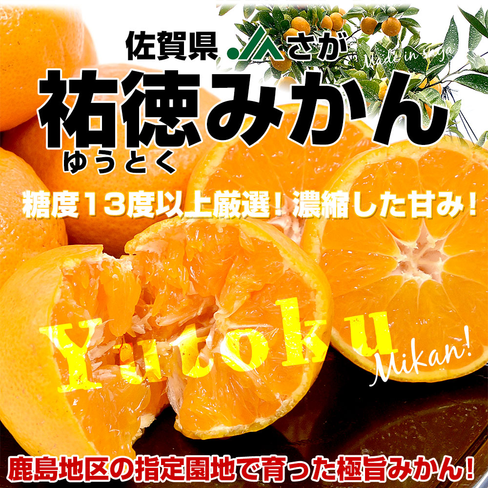 みかん AX6049n_Y_【直営限定】【平武農園より農家直送！】有田みかん