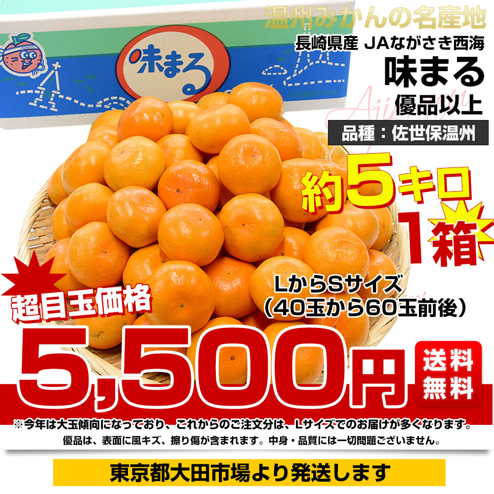 長崎県 JAながさき西海 味まる「品種：佐世保温州」 LからSサイズ 優品以上 約5キロ(40玉から60玉前後）送料無料 ミカン 蜜柑 |  | 02