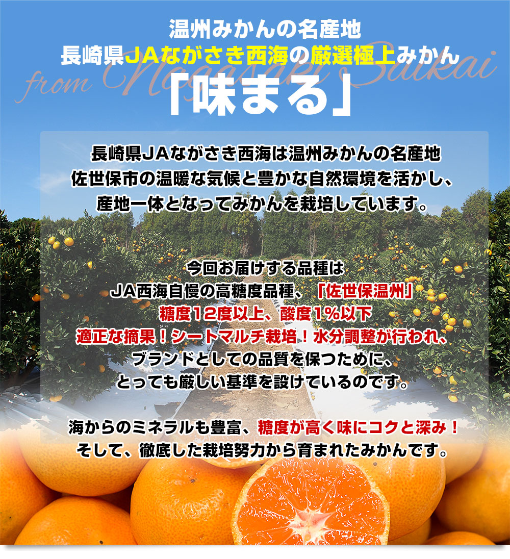 長崎県 JAながさき西海 味まる「品種：佐世保温州」 LからSサイズ 優品以上 約5キロ(40玉から60玉前後）送料無料 ミカン 蜜柑 |  | 04