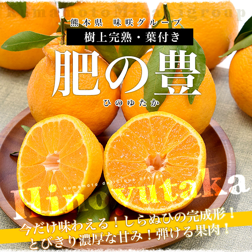 熊本県味咲グループ 樹上完熟・葉付き「肥の豊（ひのゆたか）」赤秀品