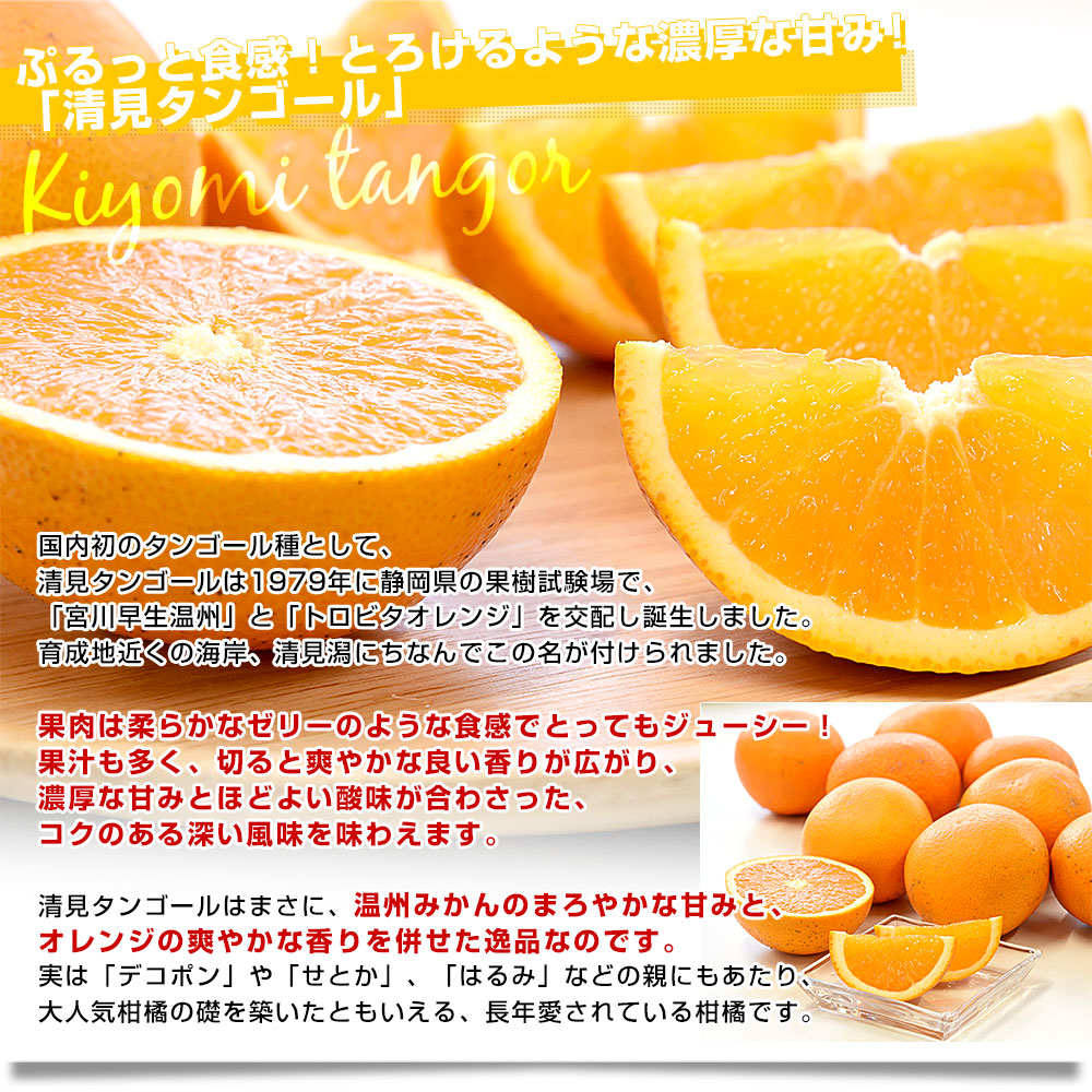 愛媛県産 JAにしうわ みつる共選 プレミアム清見タンゴール 蜜る 秀品