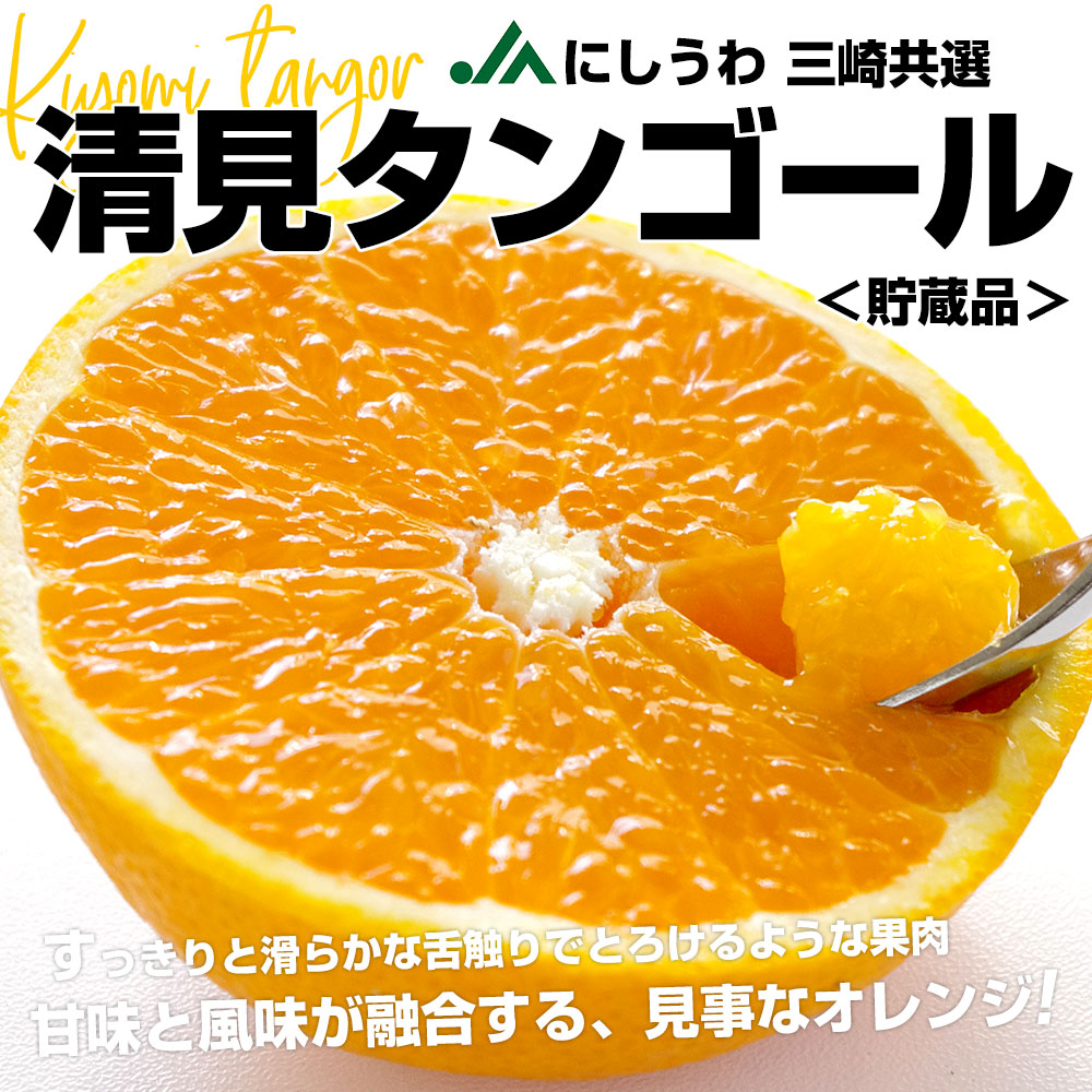 愛媛県産 JAにしうわ三崎共選 清見タンゴール（貯蔵品）秀品 2LからL