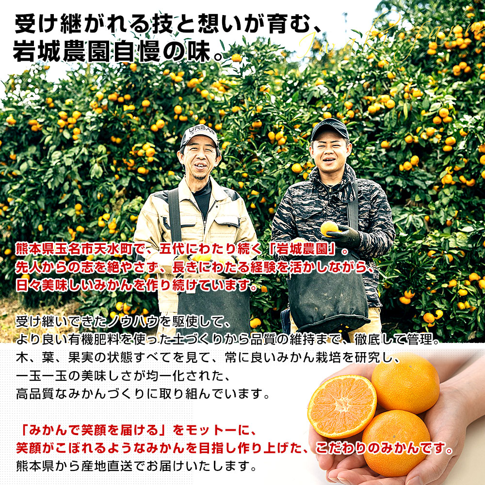 みかん様 確認用 みかん様 お仕上がり確認用 みかん様 みかんページです☆ ミカン様