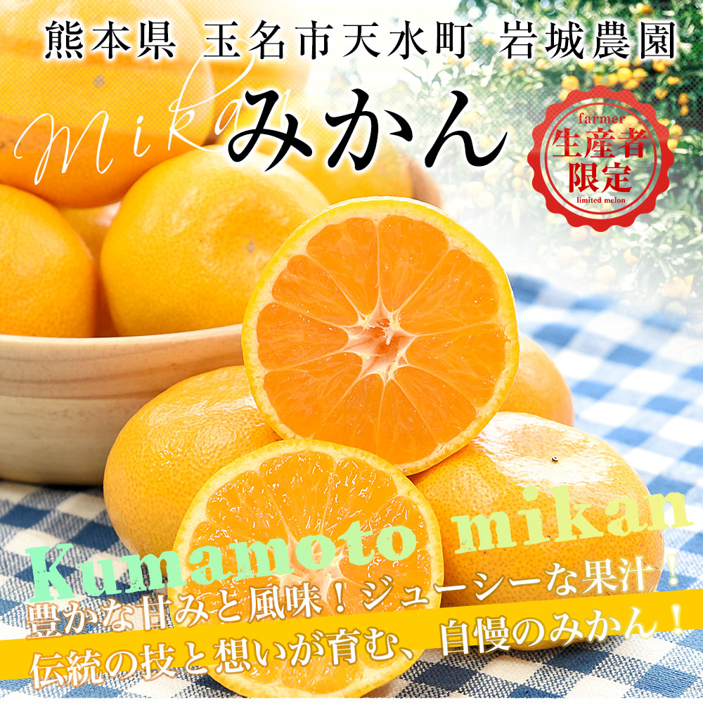 熊本県から産地直送 玉名市天水町 岩城農園 みかん LからSサイズ 約3