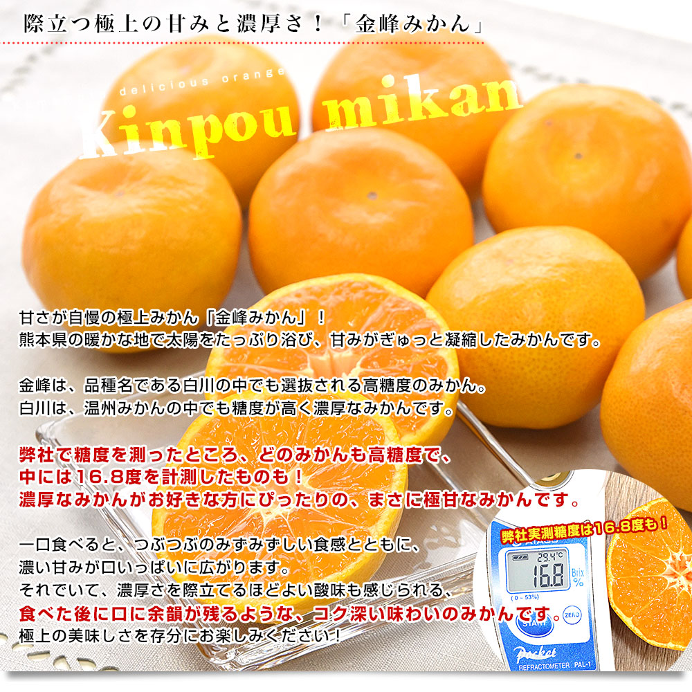 ミキちゃ出品　金柑5キロ 熊本県産 金峰柑橘共同組合 金峰みかん 赤秀品 MからSサイズ 約5キロ