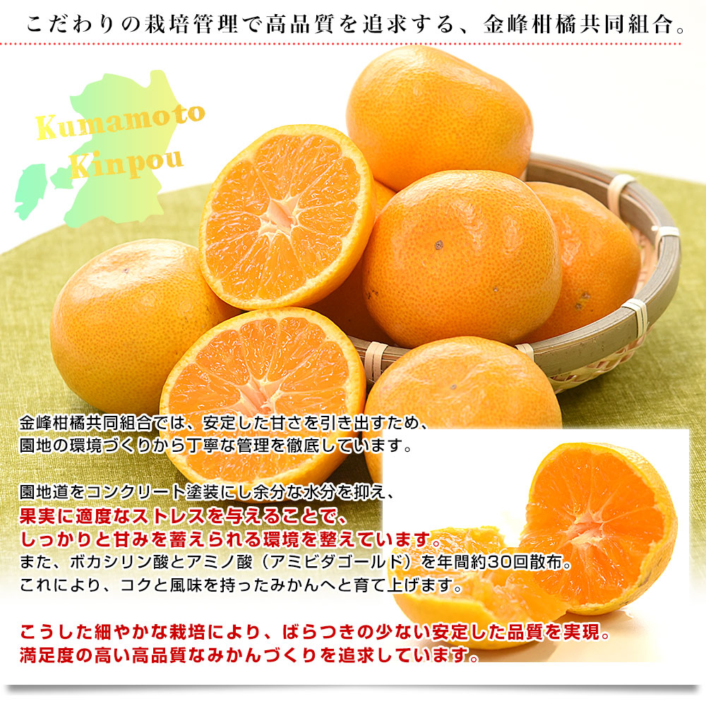 熊本県産 金峰柑橘共同組合 金峰みかん 赤秀品 MからSサイズ 約3キロ