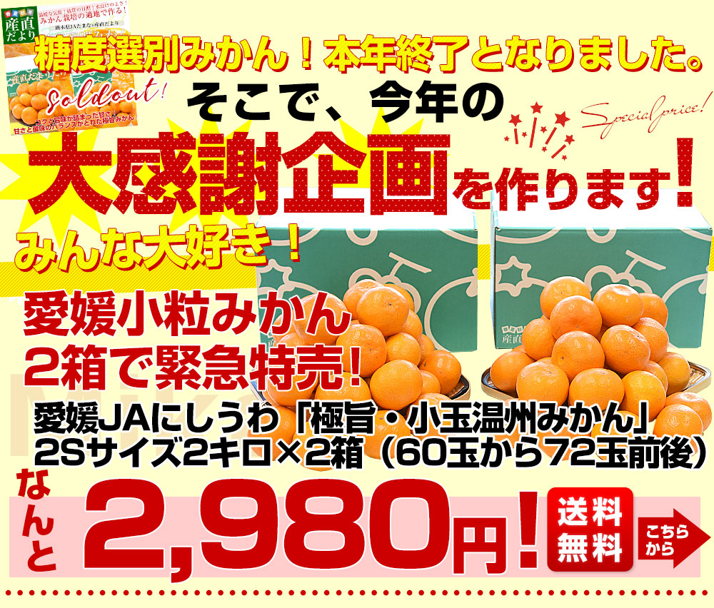 熊本県 JAたまな 糖度選別みかん 約2キロ×2箱 MからSSサイズ (合計40玉