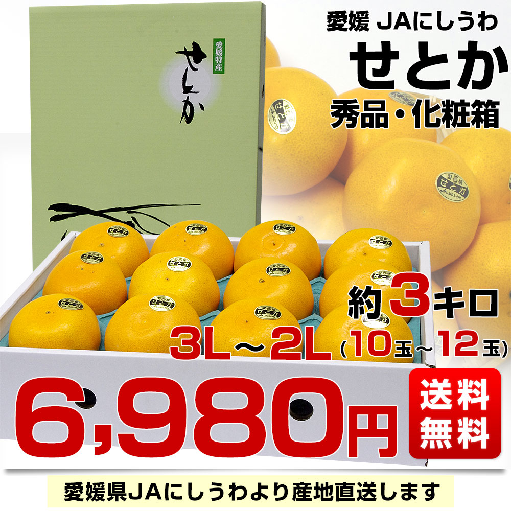 愛媛県より産地直送 JAにしうわ せとか 秀品 3Lから2Lサイズ 3キロ化粧