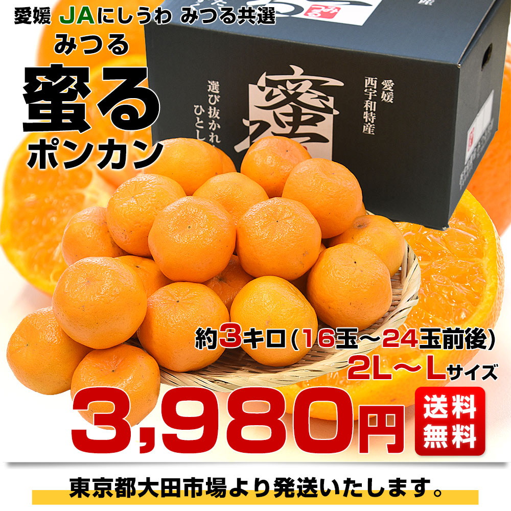 愛媛県産 JAにしうわ みつる共選 蜜る(みつる) ポンカン 2LからLサイズ