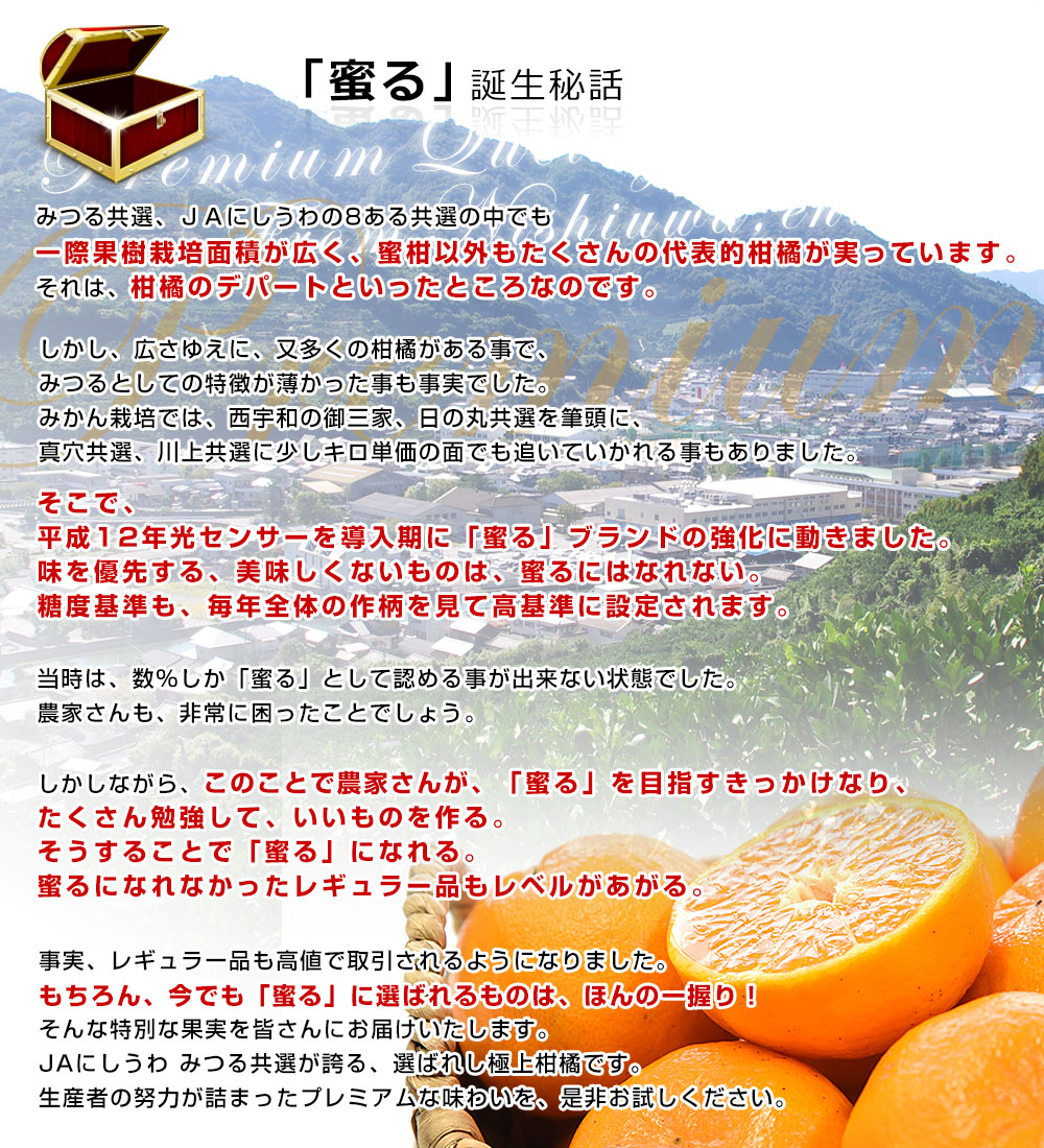 愛媛県産 JAにしうわ みつる共選 蜜る(みつる) ポンカン 2LからLサイズ