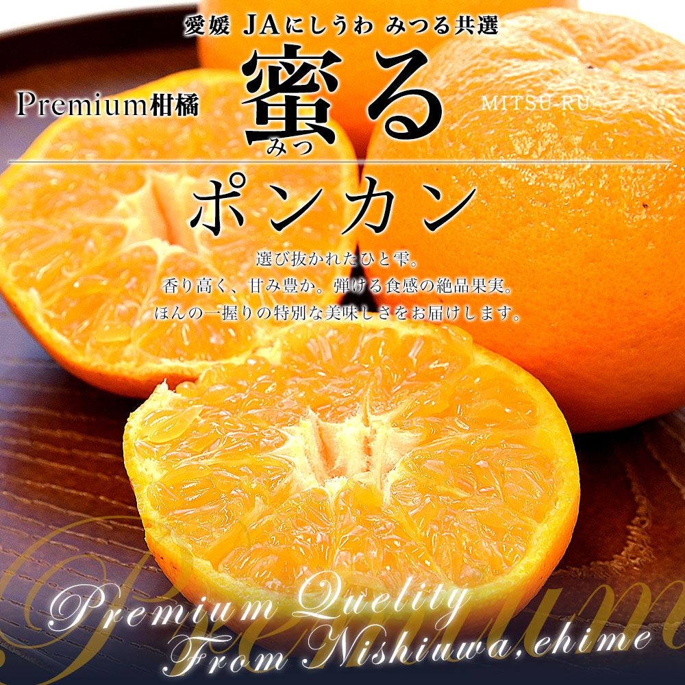 愛媛県産 JAにしうわ みつる共選 蜜る(みつる) ポンカン 2LからLサイズ