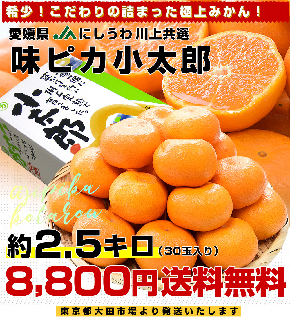 愛媛県産 JAにしうわ 川上共選 味ピカ小太郎 2.5キロ化粧箱(30個入り