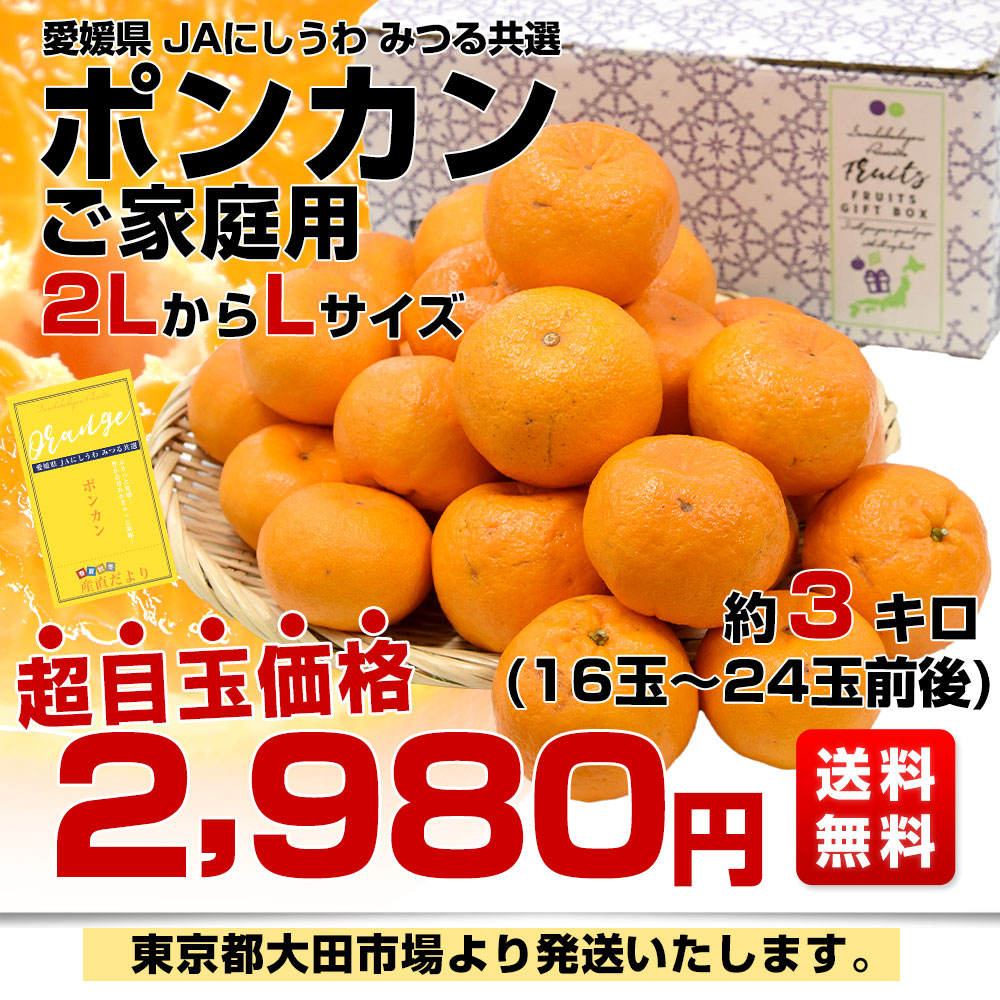 愛媛県産 JAにしうわ みつる共選 ポンカン ご家庭用 2LからLサイズ 約3