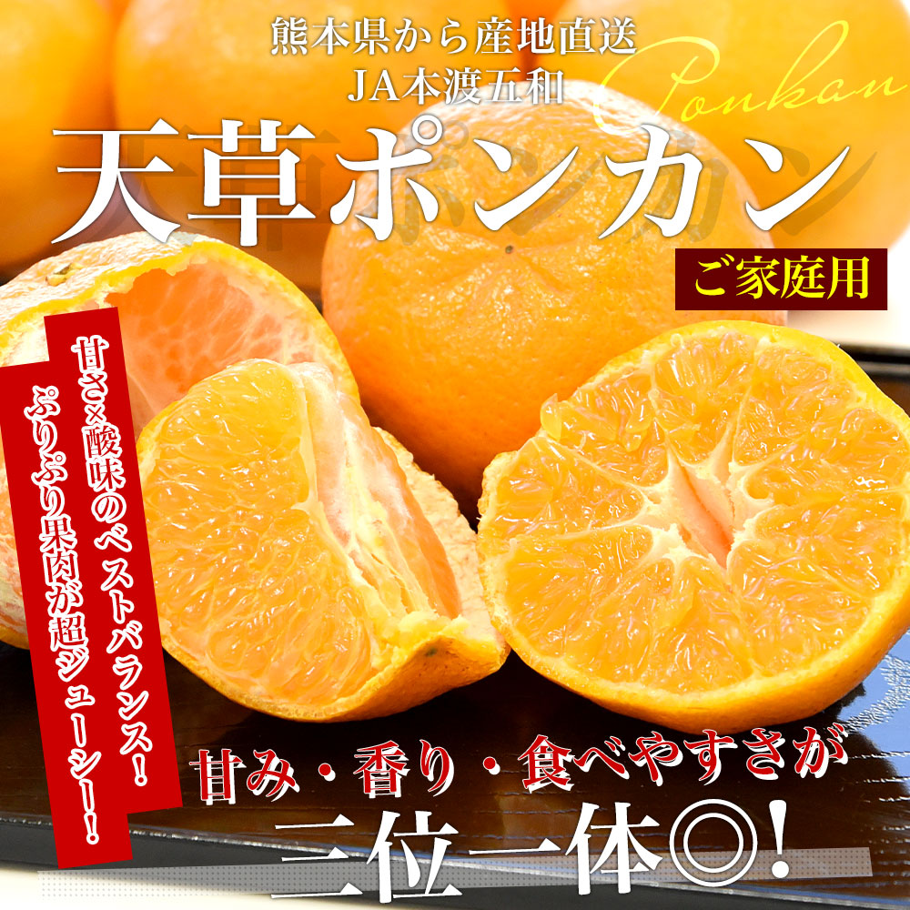 熊本県から産地直送 JA本渡五和 天草ポンカン ご家庭用 2LからSサイズ