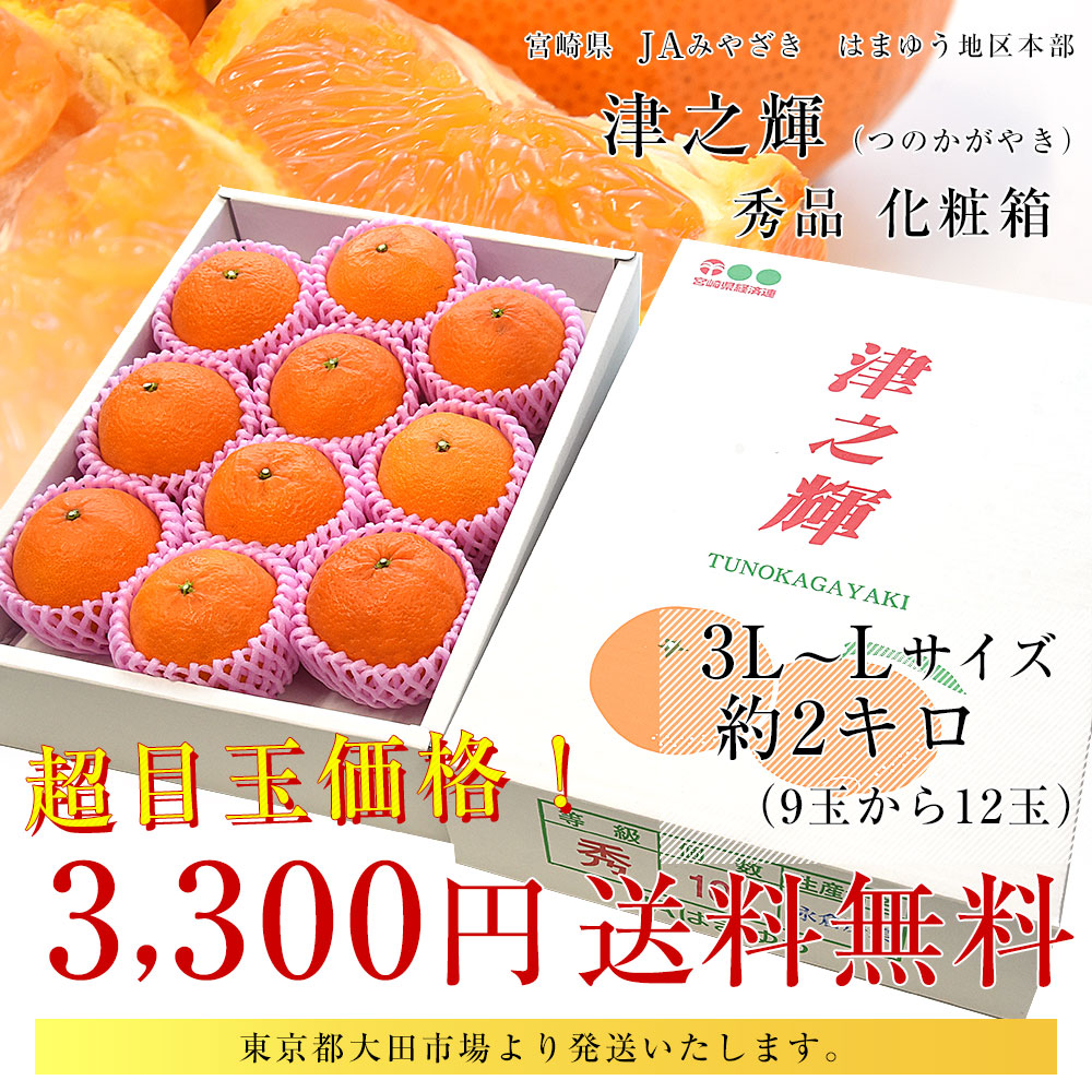 津之輝のおすすめ人気商品一覧 通販 - Yahoo!ショッピング