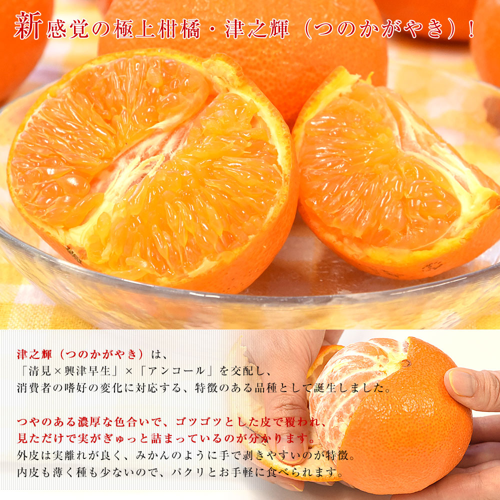 津之輝 商品一覧 - 産直だより - 売れ筋通販 - Yahoo!ショッピング