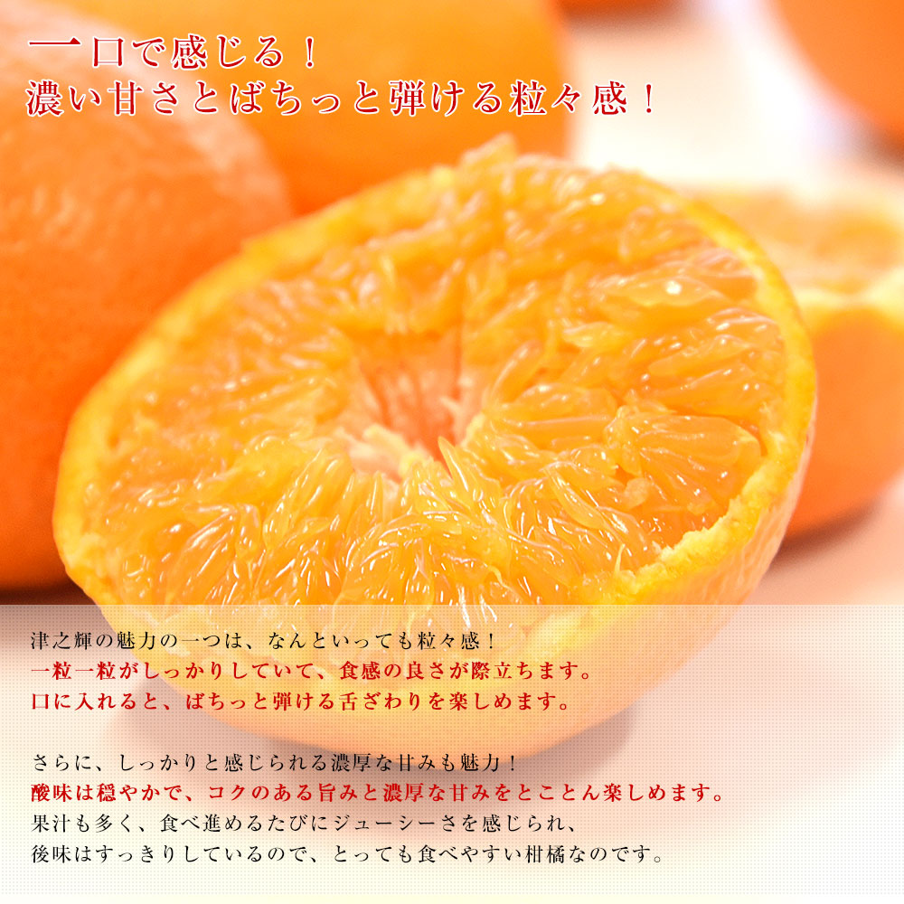 津之輝 商品一覧 - 産直だより - 売れ筋通販 - Yahoo!ショッピング