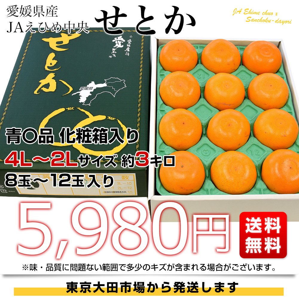 せとか12玉×2箱セット せとかの通販。果実が大きく甘みが強い「せとか」。とげの多い品種の