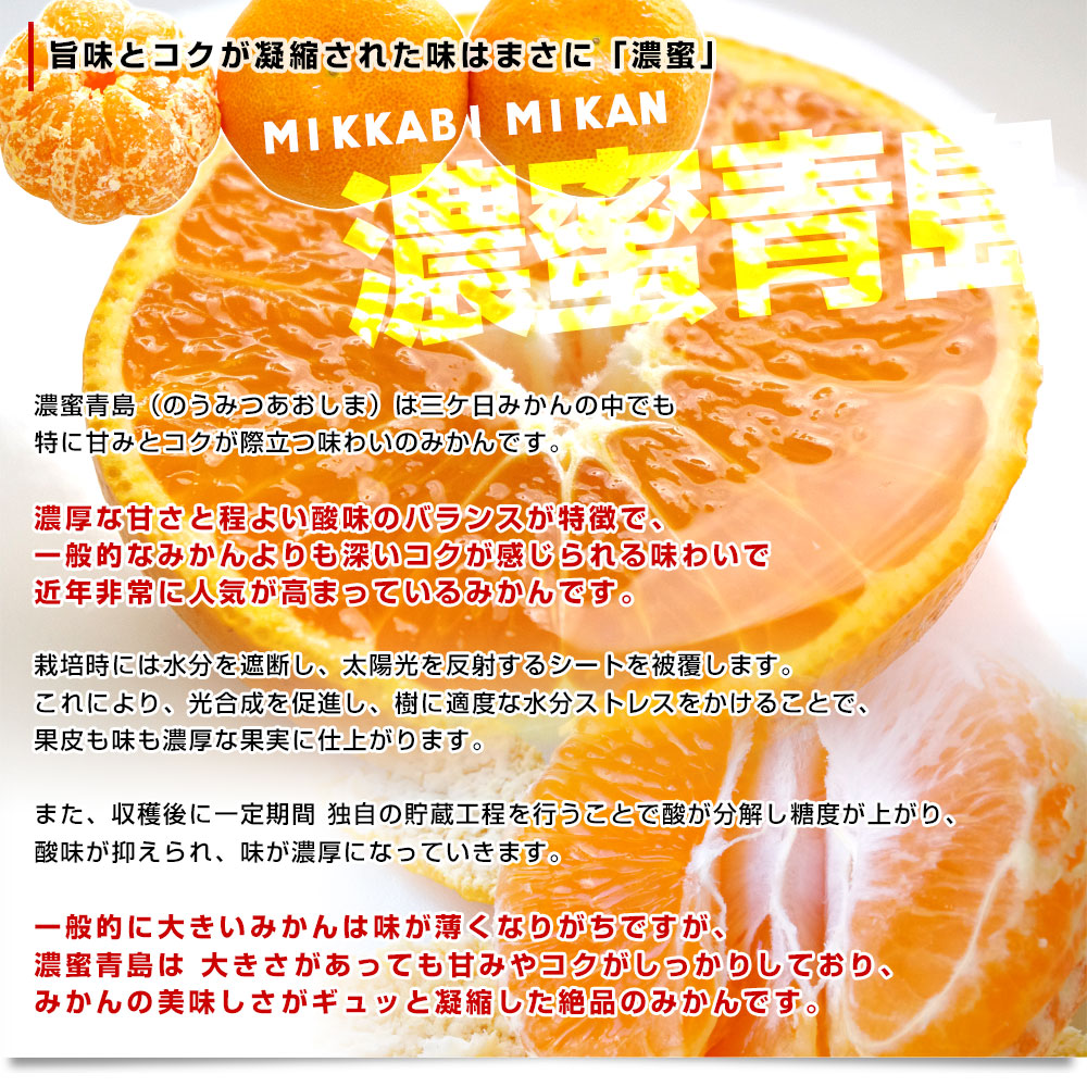 静岡県産 JAみっかび 三ヶ日みかん 濃蜜青島 2Lサイズ 優品以上 約3.5