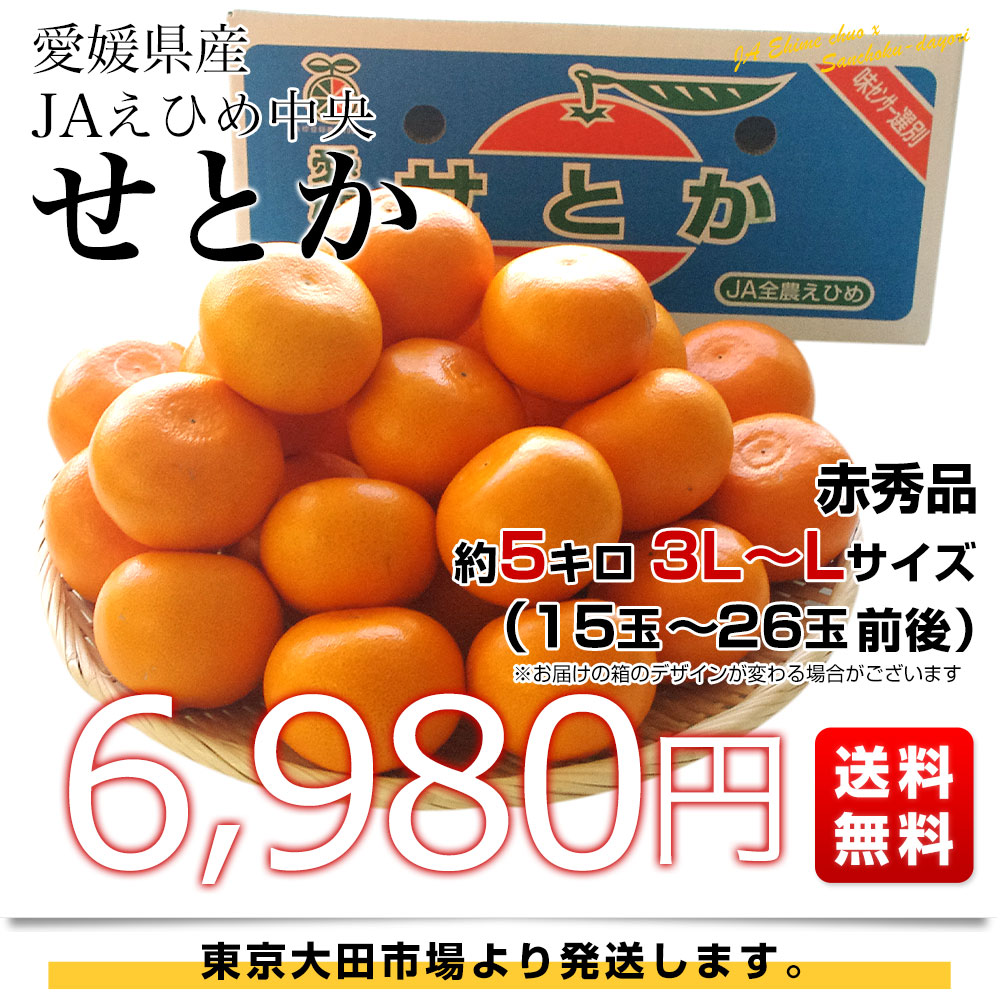 メル72779せとか Mサイズ 約7キロ(箱込み) はるか9キロ(箱込み) はるか＆せとか ｜ 果物/オレンジ・その他みかん 産直アウル 農家