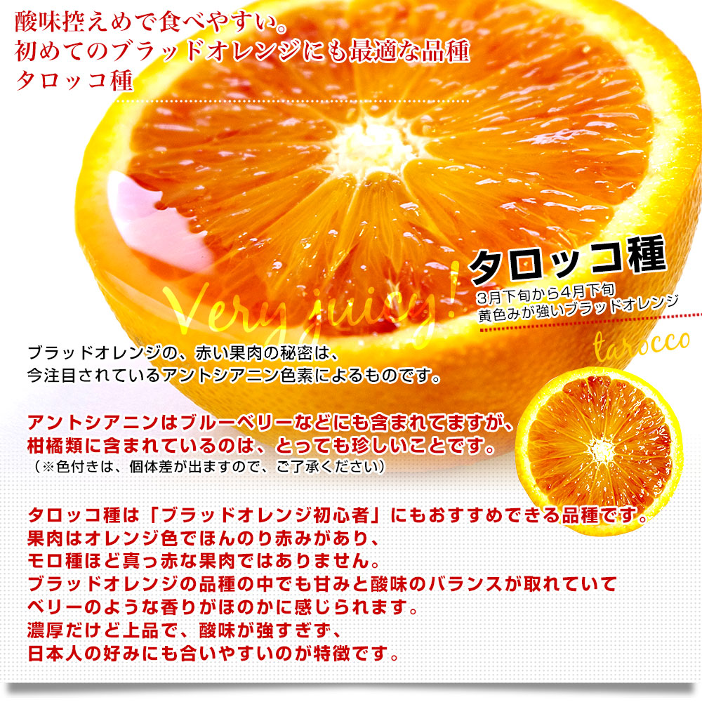愛媛県産 JAえひめ南 ブラッドオレンジ タロッコ種 優品 2Lから3L