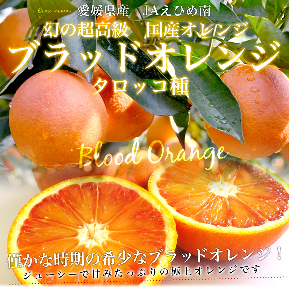 愛媛県より産地直送 JAえひめ南 ブラッドオレンジ タロッコ種 優品 5