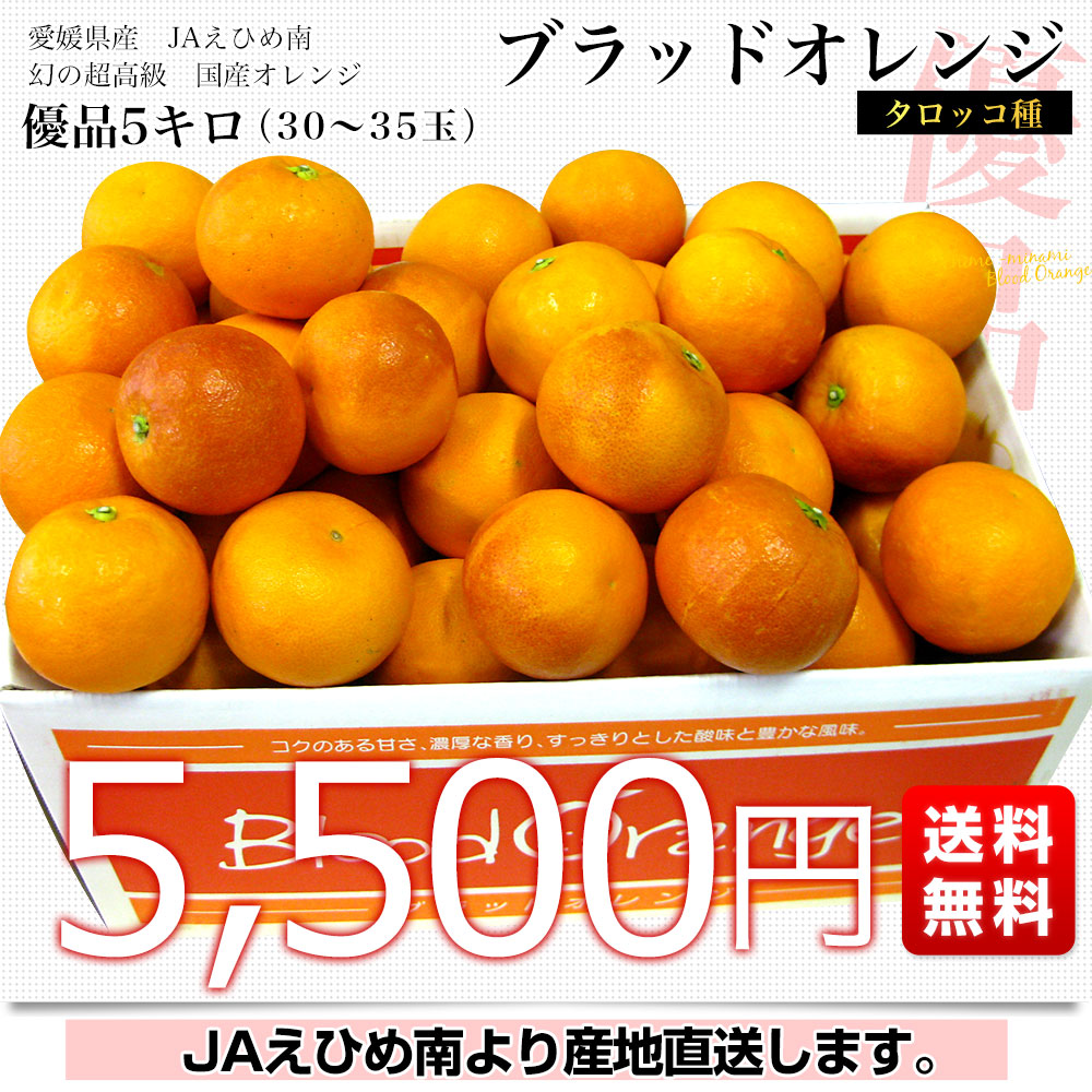 愛媛県より産地直送 JAえひめ南 ブラッドオレンジ タロッコ種 優品 5