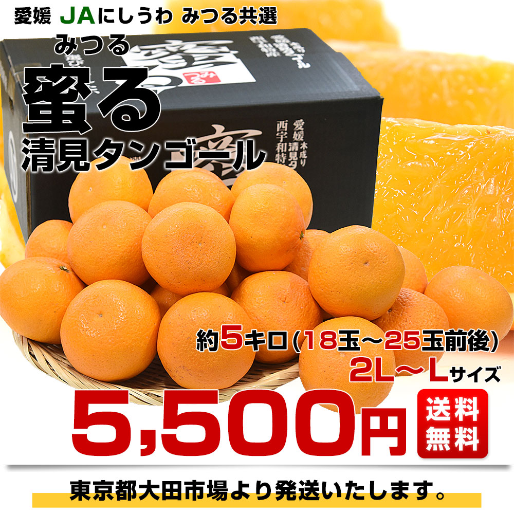 愛媛県産 JAにしうわ みつる共選 プレミアム清見タンゴール 蜜る 秀品