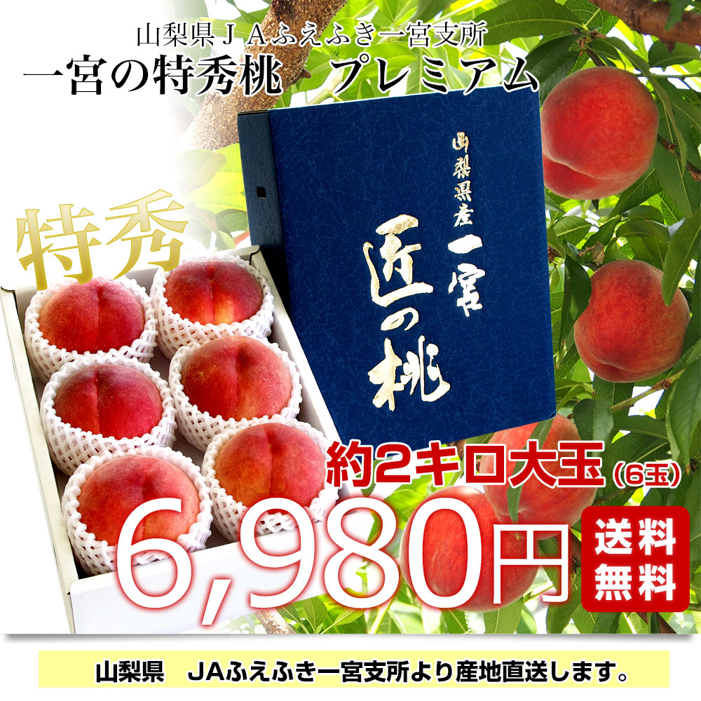 山梨県より産地直送 JAふえふき 一宮支所 一宮の特秀桃 プレミアム 2