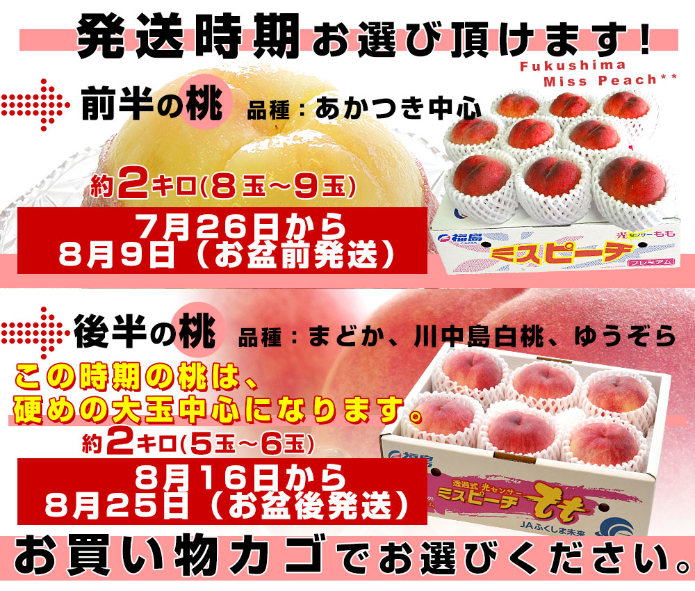 福島県より産地直送 JAふくしま未来 秀品桃 ミスピーチ 約２キロ (5玉から9玉) 送料無料 もも 桃｜sanchokudayori｜04