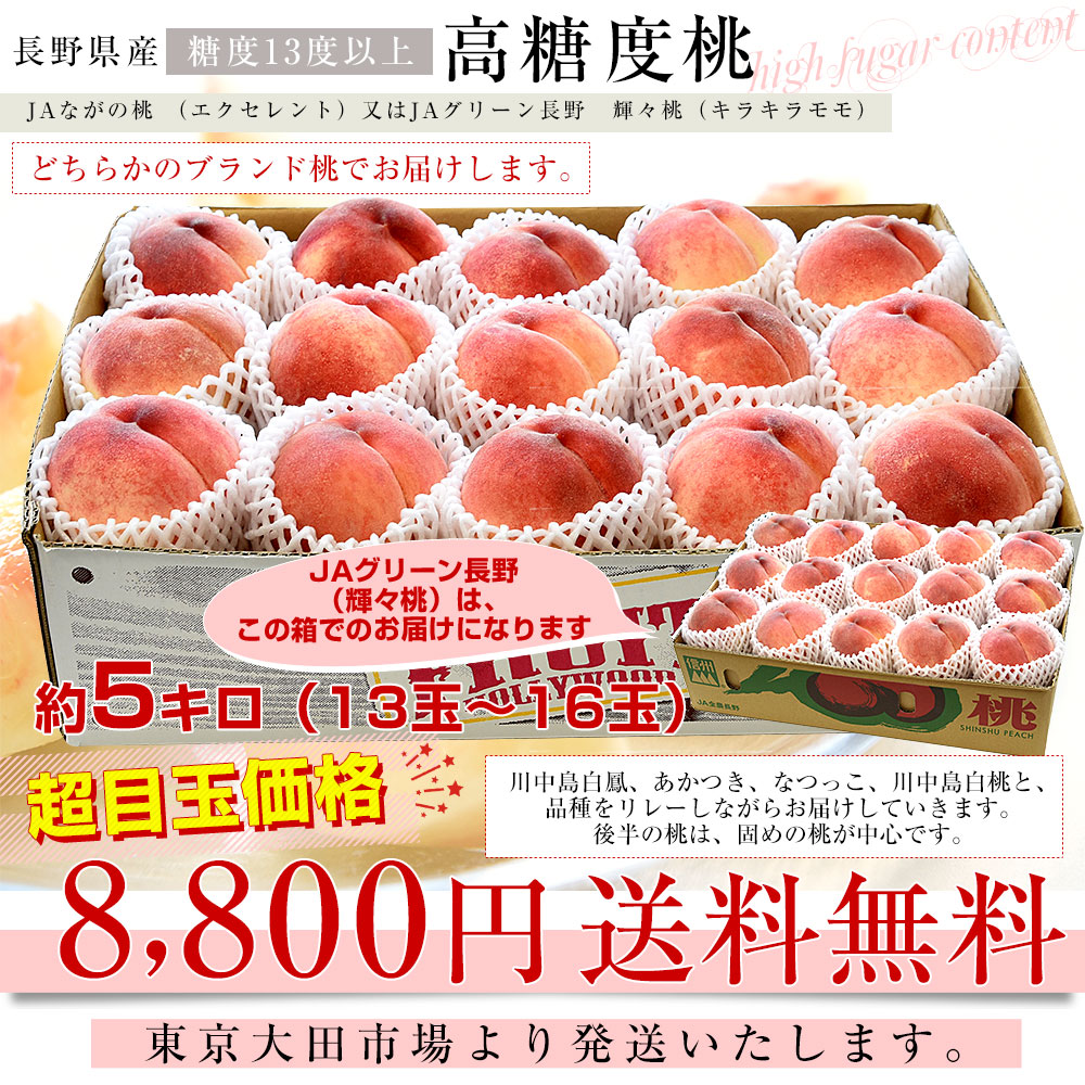 長野県 高糖度桃 約5キロ(13玉から16玉)...の詳細画像2